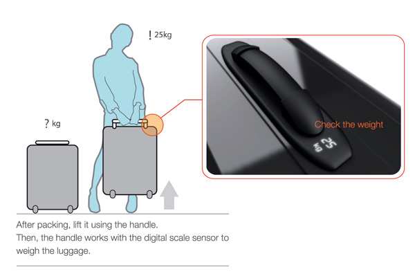 Bag Weighing Scale6