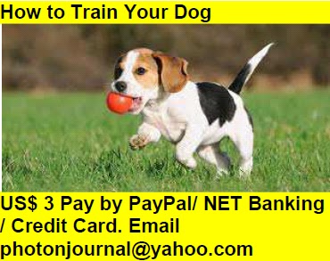  How to Train Your Dog  Book Store Frankfurt Book Fair Amazon Books eBay Book  Book Store Book Fair Book Exhibition Sell your Book Book Copyright Book Royalty Book ISBN Book Barcode How to Self Book 