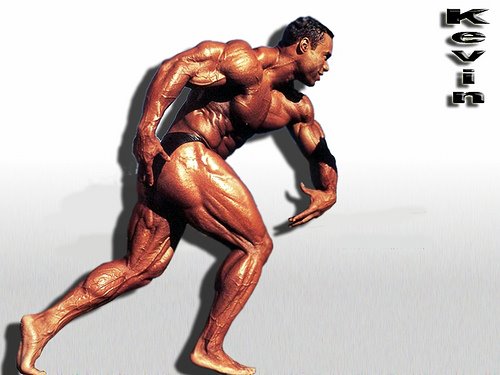 Kevin Levrone 