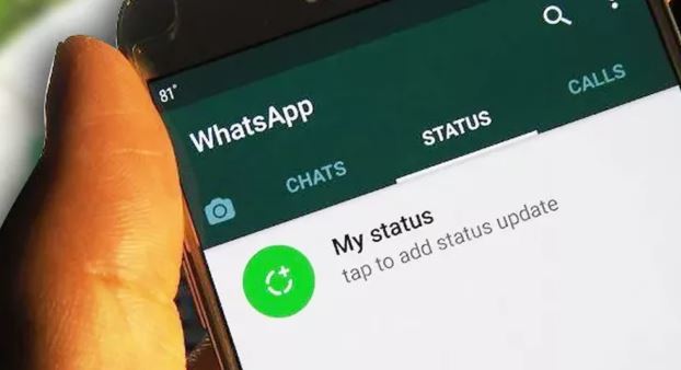 Cara Membuat Wastor, WhatsApp Story di Status WA