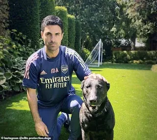 Arsenal boss Arteta purchase £20,000 guard dog to protect his home