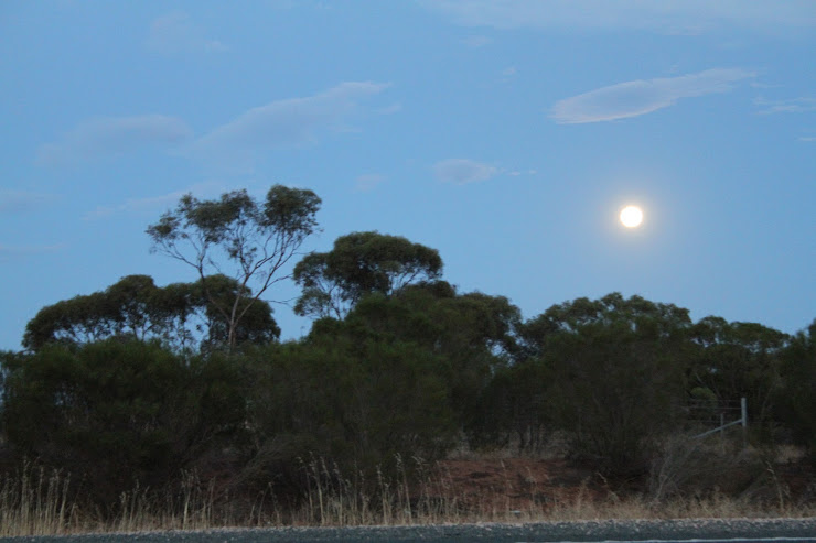 Moonrise