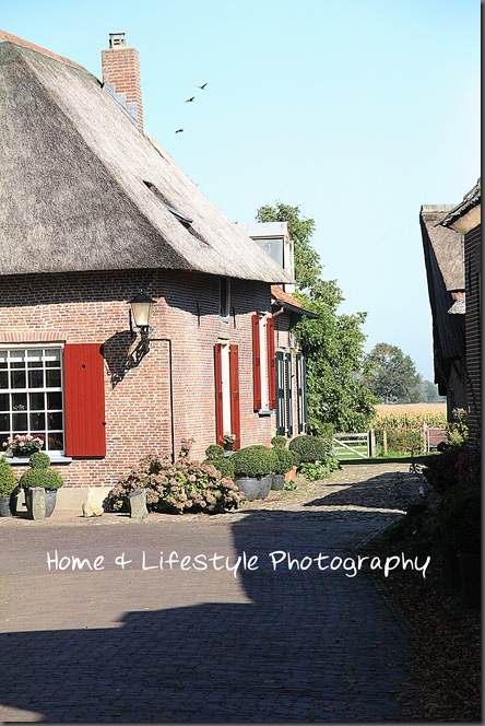 Home & Lifestyle