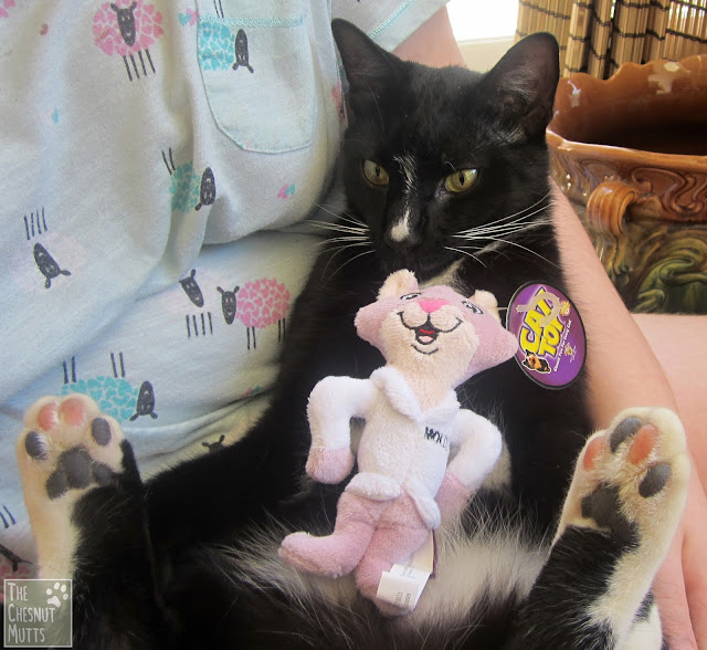 Mr. Kitty with the Molly toy