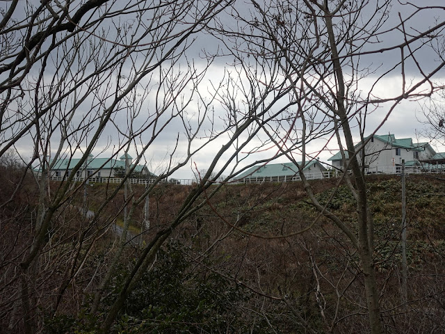 真野集落への降りる道を上ります　途中の風景　大山ヒルズ