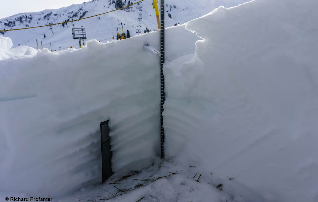 Caratteristico, per la struttura attuale del manto nevoso, è la sequenza di croste e strati più morbidi (Foto: 14.02.2022)