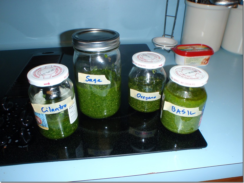 Pesto-20100501_07