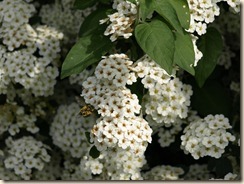 P5067469