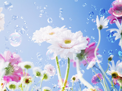 Flowers Normal Resolution Wallpaper 2