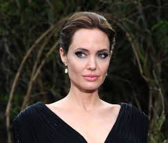Hollywood's highest-paid actresses, Angelina Jolie met partner Brad Pitt while filming Mr and Mrs Smith. Dubbed Brangelina, they have adopted children .