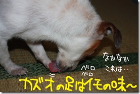 今日カズ１０１１１３　２