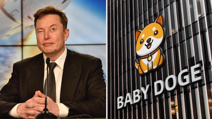 WHAT IS BABY DOGE? A spinoff of already existing meme cryptocurrency Dogecoin.