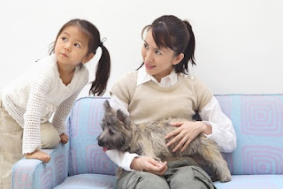 lesão de coluna em cães