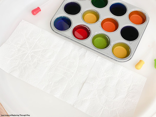 Magic Paper Towel Science Art