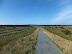 Minsmere new north sea wall