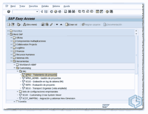 Transacción SAP SPRO - Consultoria-sap