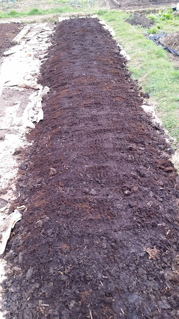 no dig, no dig beds, #nodig, no dig allotment