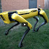 Dog-Like Quadriped Robots