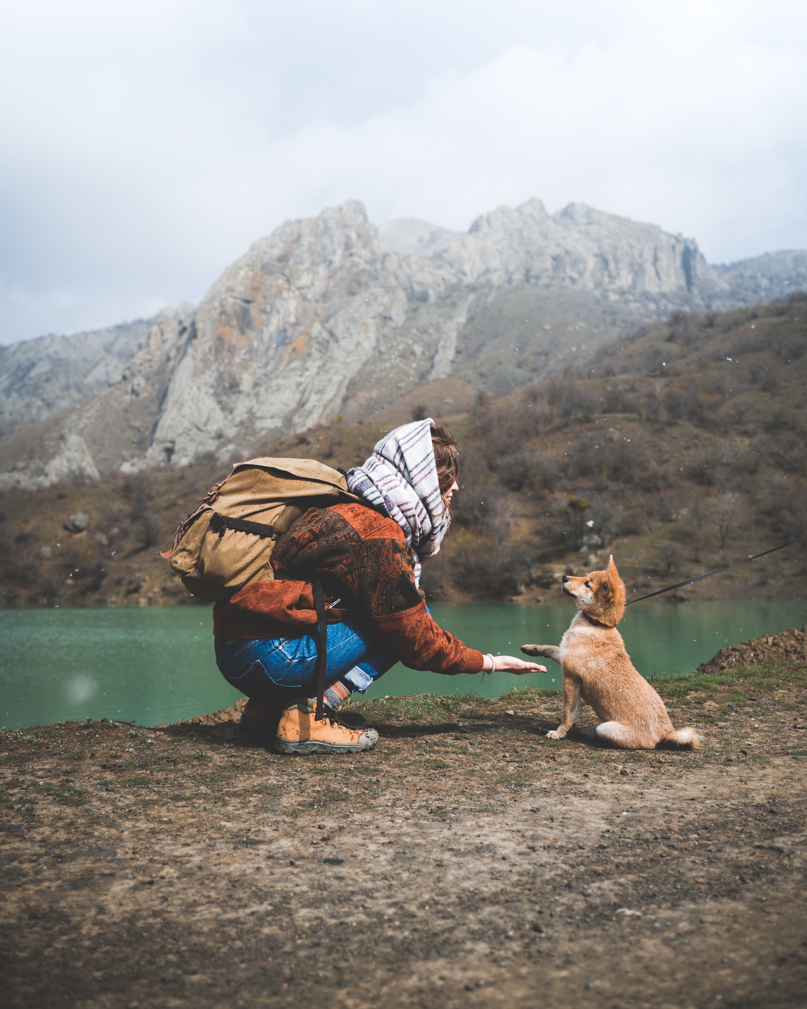 köpek patisi temizliği