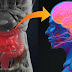 Gut Problems May Be an Early Sign of Parkinson's Disease
