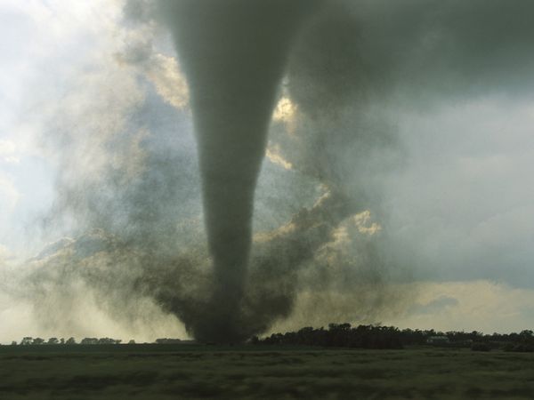 tornadoes forming. Some tornadoes form with a