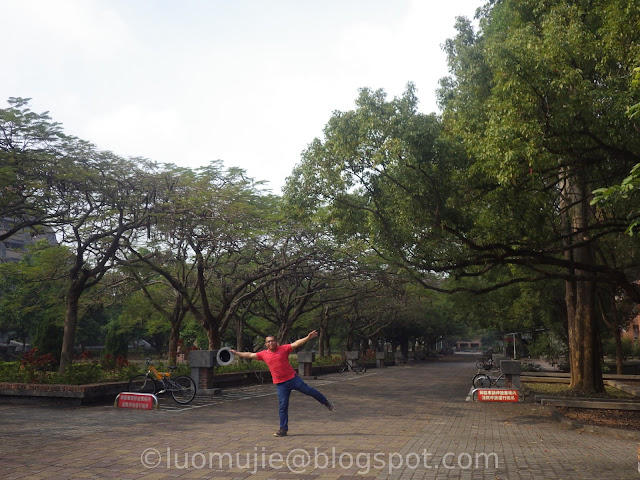 Meteor Garden university