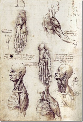 shoulderandneck2