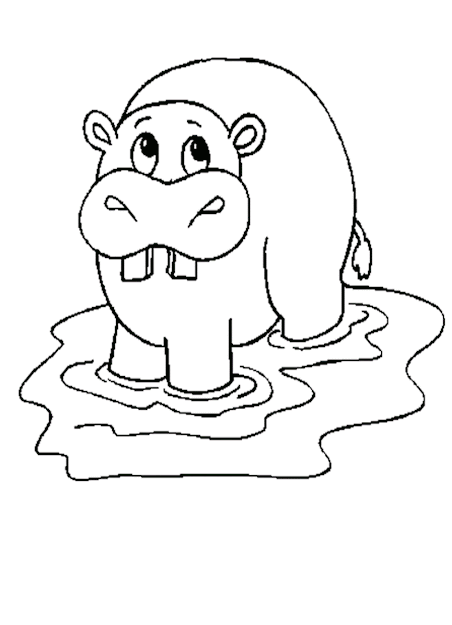 Free Hippo African Animal Coloring Pages