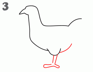 تعلم كيف  ترسم دجاجة في خطوط رسم سهله