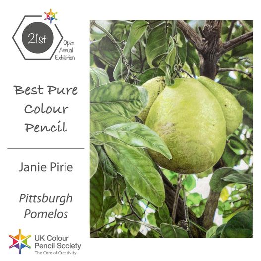 Best Pure Colour Pencil: Pittsburgh Pomelos by Janie Pirie UKCPS Gold