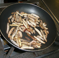 черви агавы