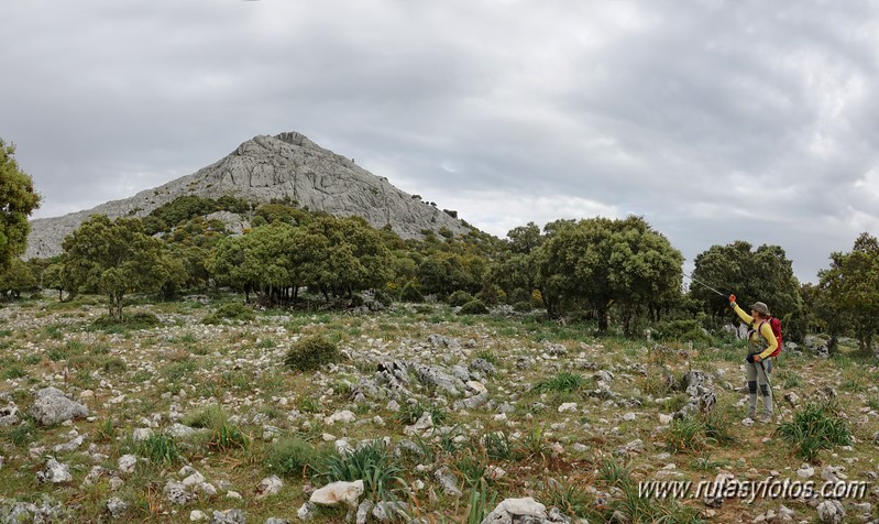 Nueve picos de la Sierra del Endrinal