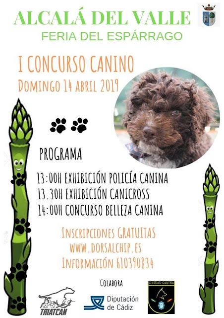 Cartel I concurso canino, Feria del Espárrago en Alcalá del Valle