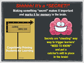 Secret Stories® Phonics Secrets— Prompting "Need-to-Know" for Prioritized Learning in the Brain!