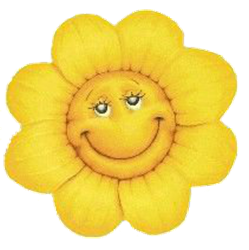 FLORZINHA