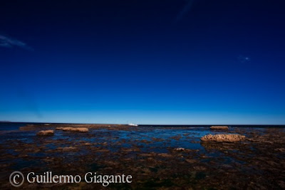 Restinga de Península Valdés