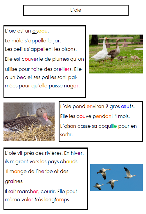 Delfynus Une Maitresse Qui Vous Veut Du Bien Documentaires Sur Les Animaux De La Ferme