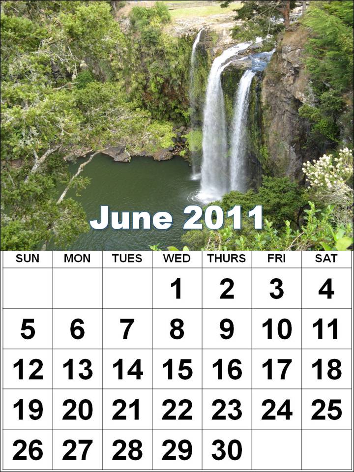 2011 calendar june