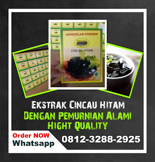 Cincau Powder, Cincau Powder Malaysia, Powder Cincau Hitam, Harga Cincau Powder, Jual Cincau Powder, Jual Cincau Hitam Powder, Cincau Powder Malang, Cincau Instan, Serbuk Cincau Instan, Bubuk Cincau Instan, Cincau Instan Kemasan, Merk Cincau Instan, Cincau Hitam Instan