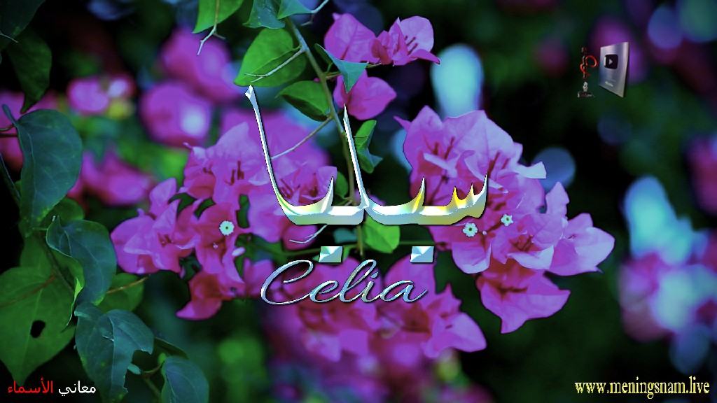 معنى اسم سيليا, وصفات, حاملة, هذا الاسم, Celia,