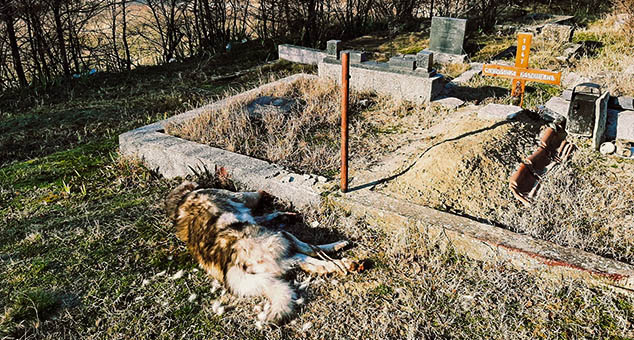 #Гробље #Ораховац #Задушнице #Kosovo #Metohija #KMnovine #vesti