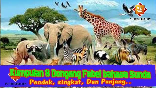 Kumpulan 9 Contoh Cerita Dongeng Fabel (Sasatoan) Bahasa 