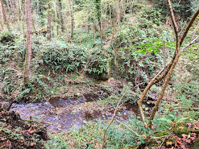 Stream on the Ashdown.  15 October 2017.