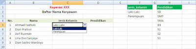 Membuat data validation di excel 2007