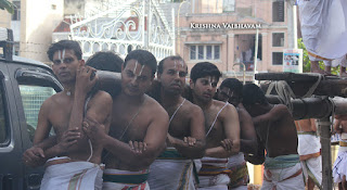 Aani,Dharmadhipeedam,Sri Theliya Singar, Yoga Narasimhar,Brahmotsavam ,Purappadu,Video, Divya Prabhandam,Sri Parthasarathy Perumal, Triplicane,Thiruvallikeni,Utsavam,