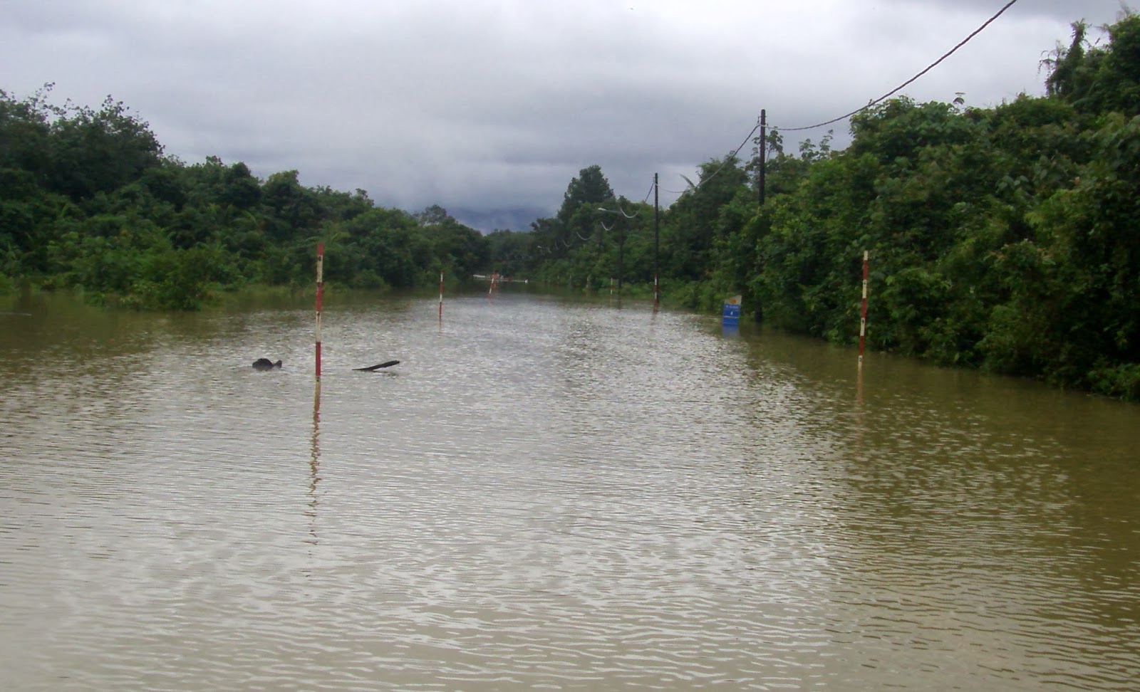 banjir