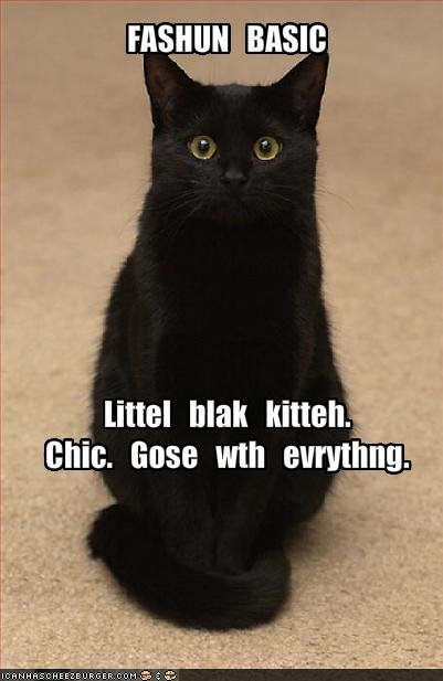 funny-pictures-a-little-black-cat-goes-with-everything.jpg