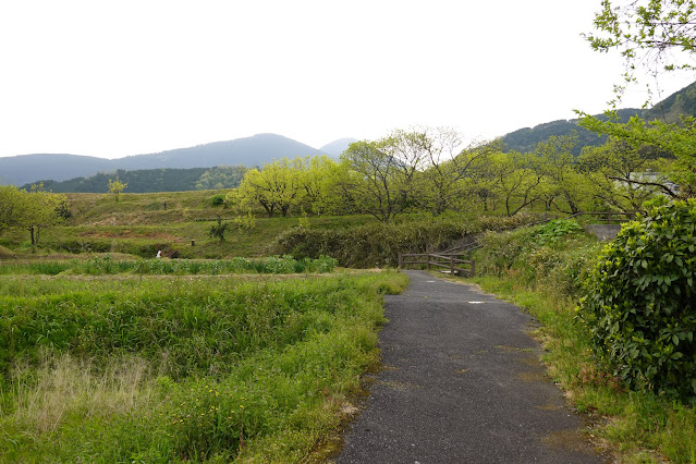 鳥取県米子市淀江町高井谷　天の真名井