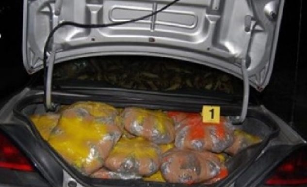 car loaded with cannabis