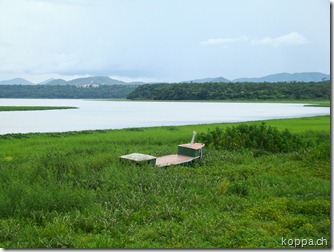 110213 Weg ins Pantanal (15)